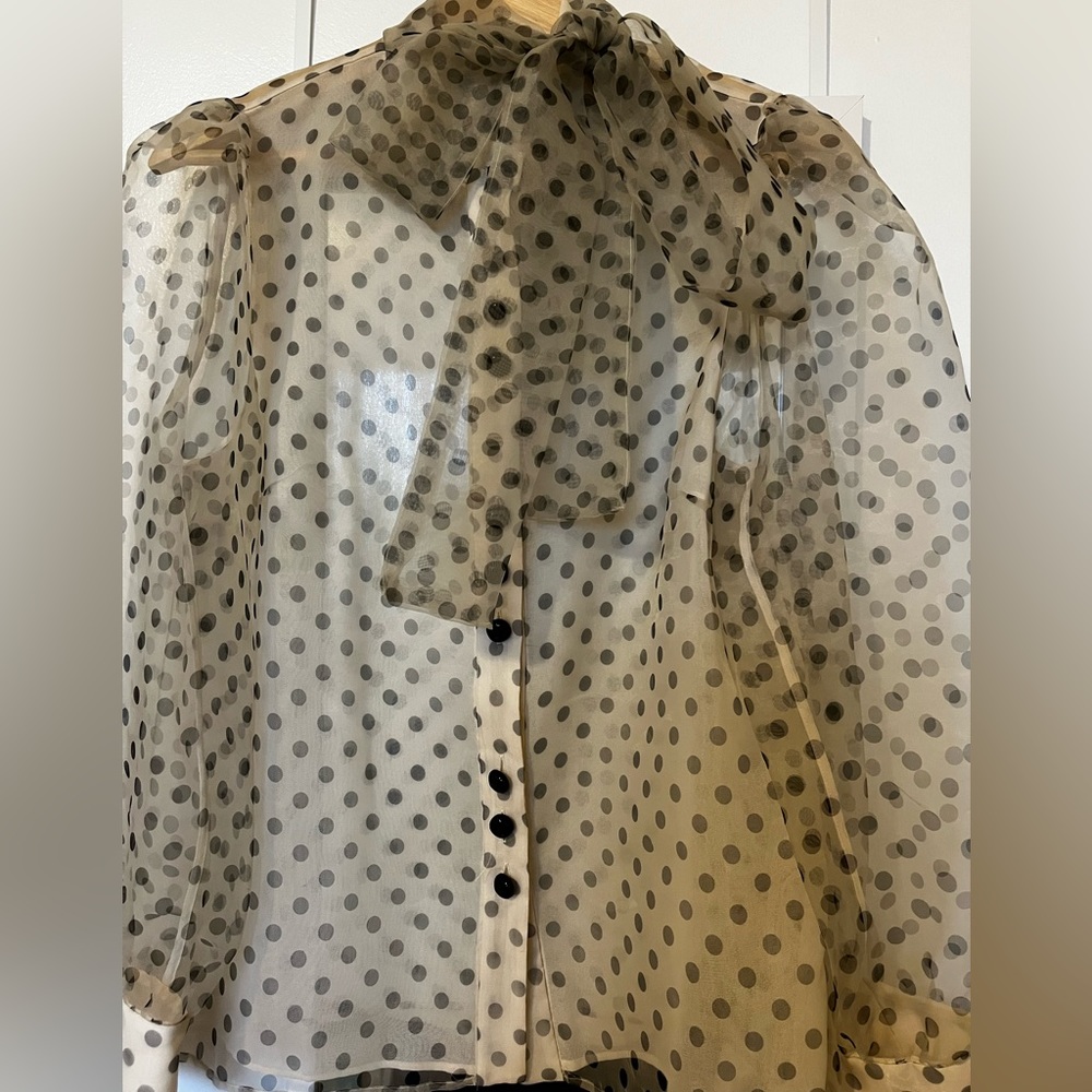 ZARA polka dot organza blouse